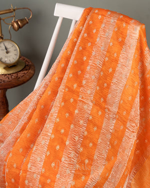 Orange Crush Tissue saree with a stunning net sleeves blouse