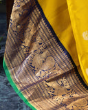 Gadwal Pattu saree in mustard yellow and navy blue