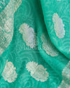 Teal green Banarasi chiffon saree with chikankari work all over