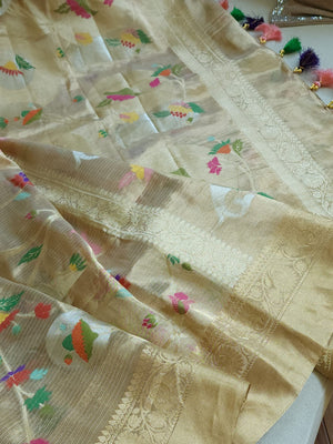 Banarasi Tissue saree in gold with all over floral motifs