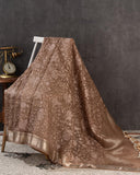 Organza saree in light brown with all over thread embroidery (Copy)