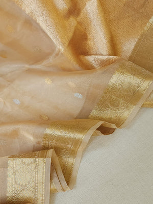 Banarasi Gold Tissue saree paired with a contrast maroon blouse