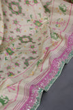 Pastel Patola with intricately designed handwork border
