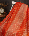 Orange Crush Tissue saree with a stunning net sleeves blouse