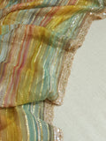 Multi colored striped sequins Georgette saree