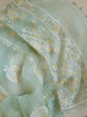 Pastel Blue soft organza saree with a mono tone blouse