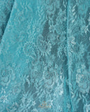 A contemporary lace saree in pastel blue with a stunning blouse pattern