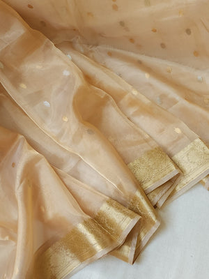 Banarasi Gold Tissue saree paired with a contrast maroon blouse