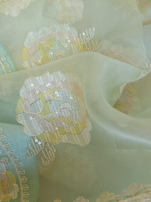 Pastel Blue soft organza saree with a mono tone blouse