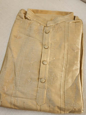 Beige chanderi silk kurta with beautiful and delicate Zari embroidery