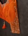 Orange Crush Tissue saree with a stunning net sleeves blouse