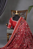 Patan Patola saree with intricately designed maggam work border
