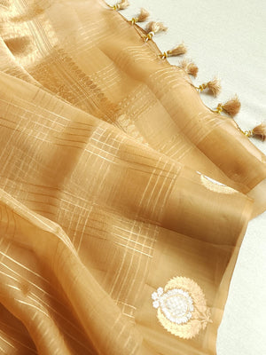 Organza saree in golden hue wit a beautiful blouse