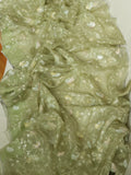 Light pastel green pure organza saree with all over work