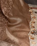 Organza saree in light brown with all over thread embroidery (Copy)