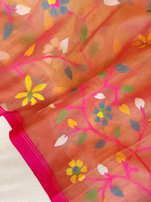 Peach Jamdaani saree with a beautiful bandini blouse