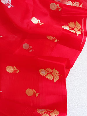 Red organza saree with a contrast blue work blouse