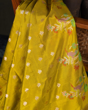 Mustard yellow organza saree with a contrast orange blouse
