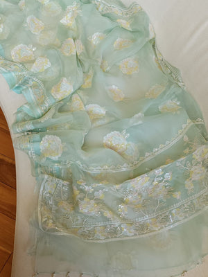 Pastel Blue soft organza saree with a mono tone blouse