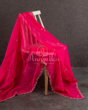 Organza saree in hot pink with a zardosi work border and a heavily embroidered sleeveless blouse