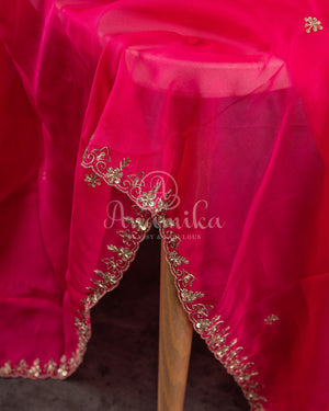 Organza saree in hot pink with a zardosi work border and a heavily embroidered sleeveless blouse
