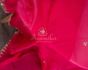 Organza saree in hot pink with a zardosi work border and a heavily embroidered sleeveless blouse
