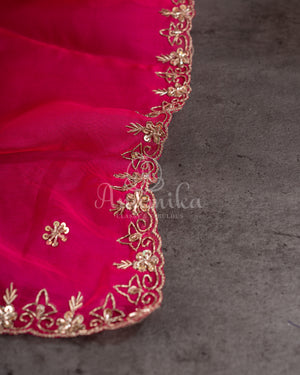 Organza saree in hot pink with a zardosi work border and a heavily embroidered sleeveless blouse