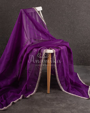 Organza saree in lovely purple with a zardosi work border and a heavily embroidered cap sleeve blouse