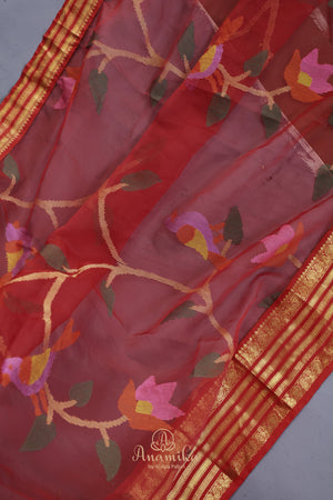 Muslin Jamdaani & Kanjeevaram Fusion