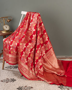 Red Banarasi Saree with a sleeveless blouse