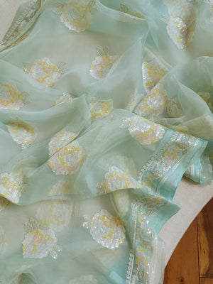 Pastel Blue soft organza saree with a mono tone blouse