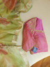 Pure tissue saree with hand painted floral appliq work