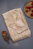 Stunning cocktail saree in champagne gold color