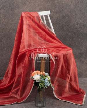 Red Tissue Chanderi Saree w/ Yellow Floral Blouse