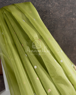 Parrot Green Banarasi Kora saree with stunning red border