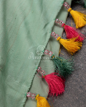 Pastel Green Banarasi Tusser georgette saree with paithani border