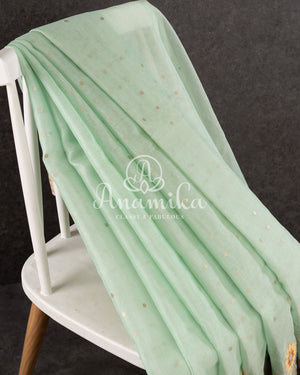 Pastel Green Organza saree with thread embroidered border