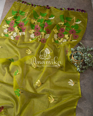 Green Organza Jamdaani Saree with contrast off white blouse