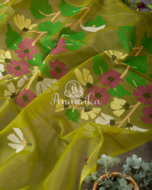 Green Organza Jamdaani Saree with contrast off white blouse