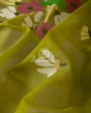 Green Organza Jamdaani Saree with contrast off white blouse