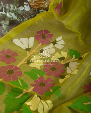 Green Organza Jamdaani Saree with contrast off white blouse
