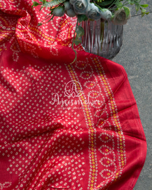 Red Bandini Saree with a Fusion concept Patola Blouse