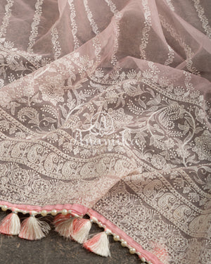 Pretty Pink Organza saree with beautiful net blouse with intricate hand embroidery