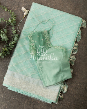 Mint Green Organza saree with beautiful net blouse with intricate hand embroidery