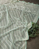 Mint Green Organza saree with beautiful net blouse with intricate hand embroidery