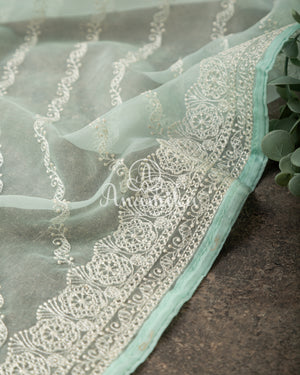 Mint Green Organza saree with beautiful net blouse with intricate hand embroidery