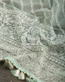 Mint Green Organza saree with beautiful net blouse with intricate hand embroidery