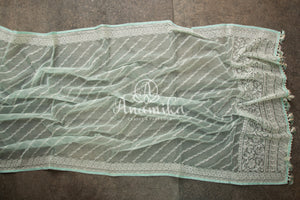 Mint Green Organza saree with beautiful net blouse with intricate hand embroidery