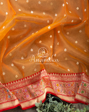 Tangerine Orange Kora Banarasi saree with beautiful red handwork blouse