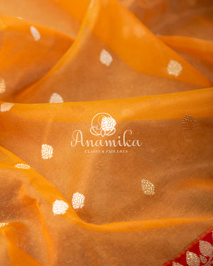 Tangerine Orange Kora Banarasi saree with beautiful red handwork blouse